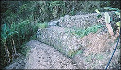 Stone walled terraces
