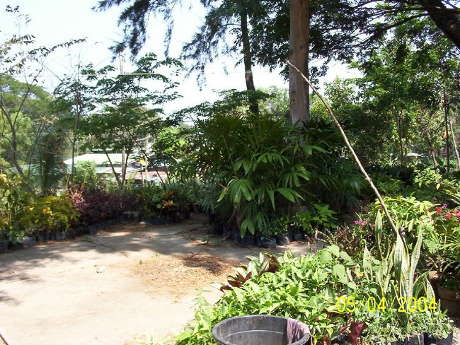 000_0361.jpg